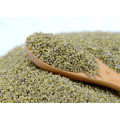 Michine Pick Green Millet In Husk